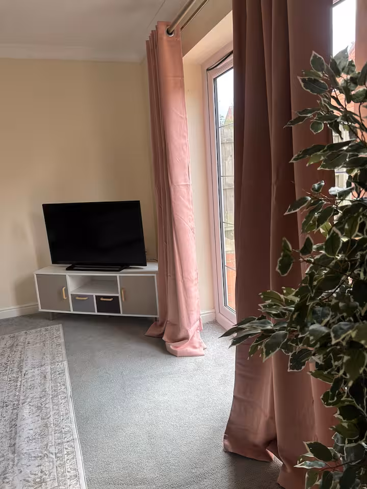 Cozy living room with rug, soft carpet, standing television, pink curtains, and artificial plant